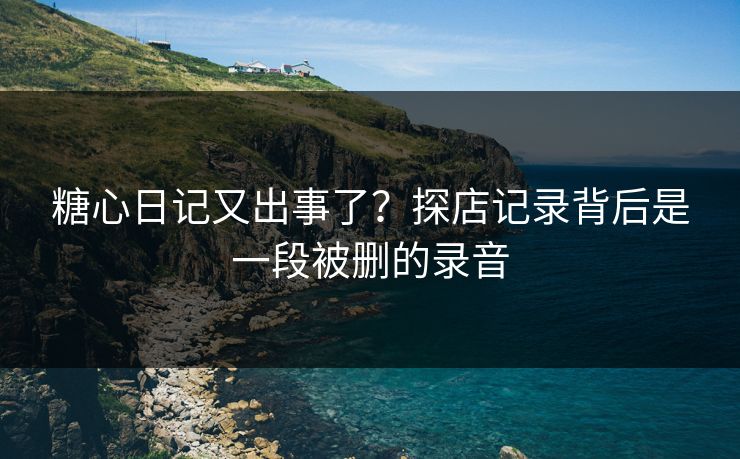 糖心日记又出事了？探店记录背后是一段被删的录音